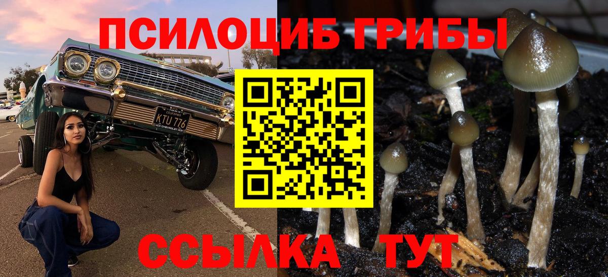 Шелехов  Псилоцибиновые грибы мицелий  Вход с VPN 